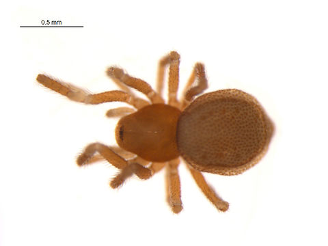 539.arbcm bioug14292 d12 1405993984 jpg.580x360