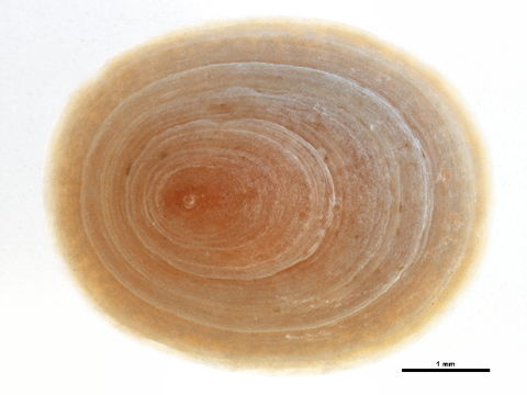 539.arcmi bioug14665 a10 1414771098 jpg.580x360