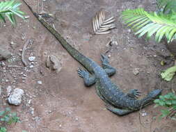 Image of Ornate monitor