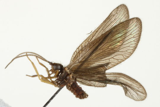 539.bblpa img 7250 1295387254 jpg.580x360