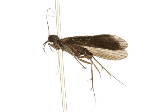 539.bbtus img 4998 1267800450 jpg.580x360