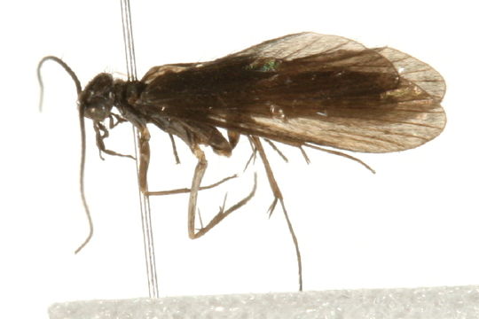 539.bbtus img 5037 1267800724 jpg.580x360