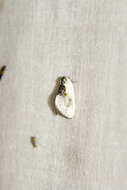 Image of Cilix