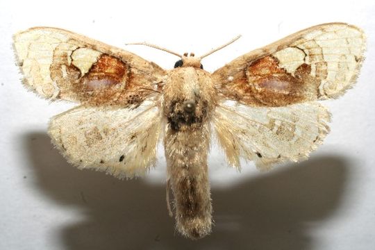 539.blpdb 08 srnp 106622 dhj630686 1364926142 jpg.580x360