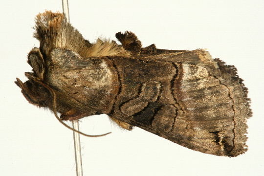 539.cguka img 0028 1238596036 jpg.580x360