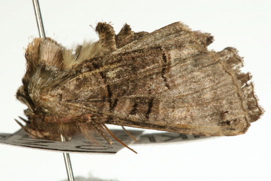 539.cgukb img 0080 1238599774 jpg.580x360