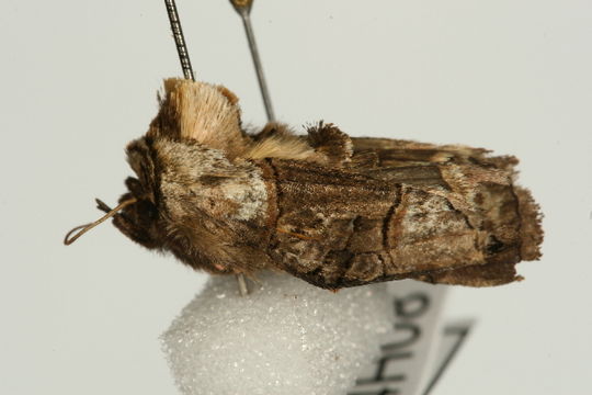 539.cgukb img 0996 1238697048 jpg.580x360
