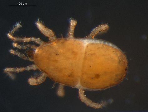 539.chacb g08cz 1281642176 jpg.580x360