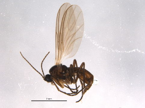 539.cneib bioug03154 f05 1392131988 jpg.580x360