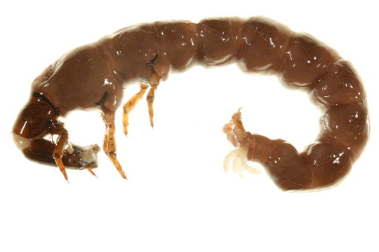 539.cntlv img 9284 1257872560 jpg.580x360