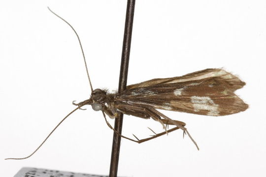 539.csutr mg 5976 1276024032 jpg.580x360