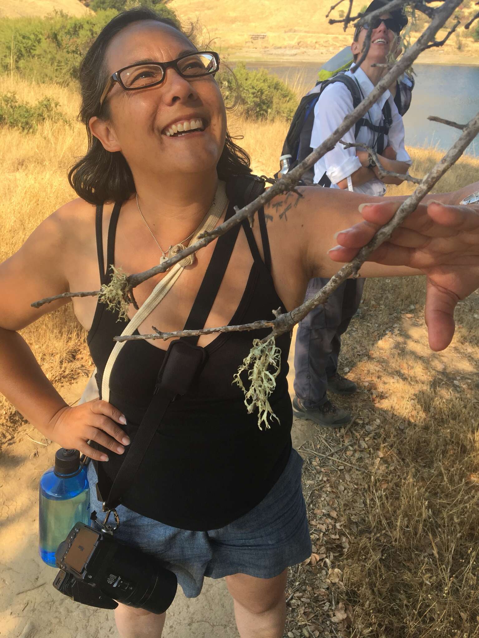 Imagem de Ramalina subleptocarpha Rundel & Bowler