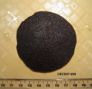 539.dspec cece07 009 d 1199763672 jpg.580x360