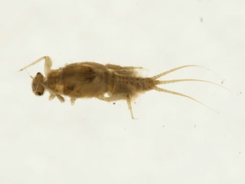 539.ebech bioug00929 c06 1301086300 jpg.580x360