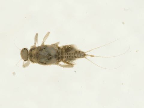 539.ebech bioug00929 c07 1301086314 jpg.580x360