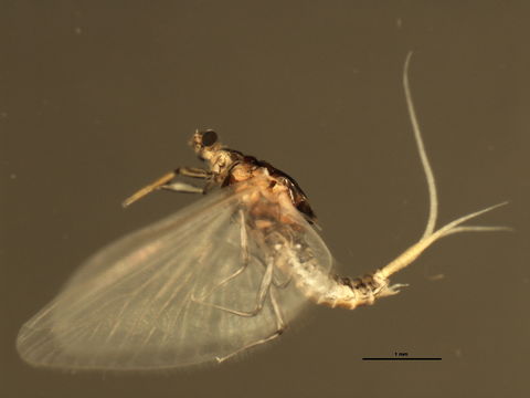 539.elpyo 09elept 002 1255454246 jpg.580x360