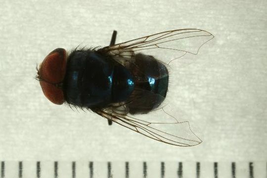 539.entjr img 6909 1202317332 jpg.580x360
