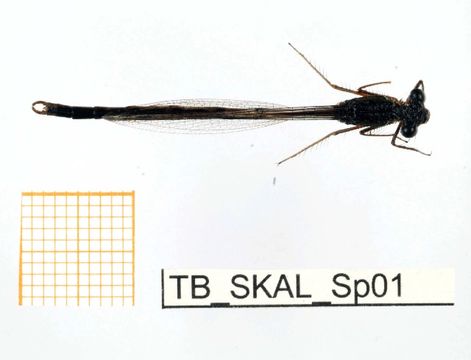 539.fbaqu bczsmodo0048 1288241610 jpg.580x360