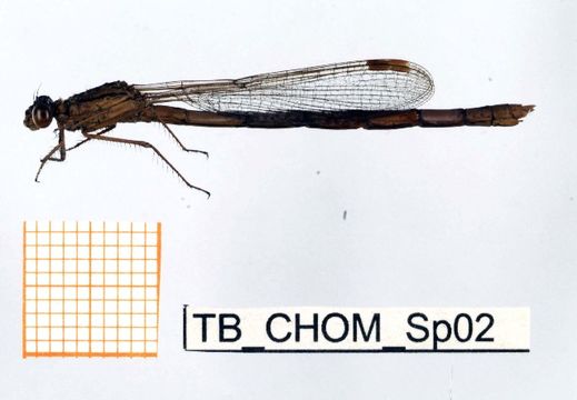 539.fbaqu bczsmodo0050 1288241628 jpg.580x360