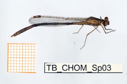 539.fbaqu bczsmodo0051 1288241644 jpg.580x360
