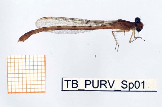 539.fbaqu bczsmodo0052 1288241662 jpg.580x360