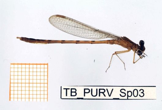 539.fbaqu bczsmodo0054 1288241698 jpg.580x360