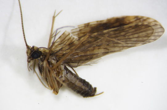 539.fbaqu bczsm eph 0173 1358204168 jpg.580x360