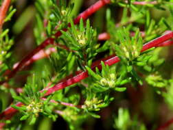 Image of Redhill Heath