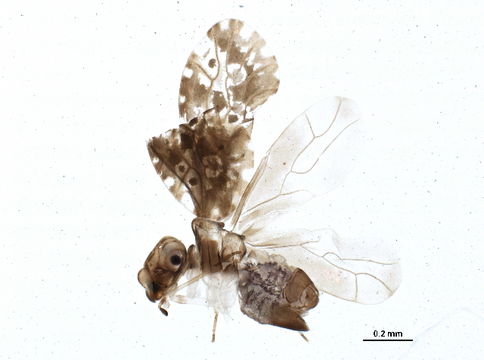 539.gmhdl bioug05030 b07 1405091418 jpg.580x360