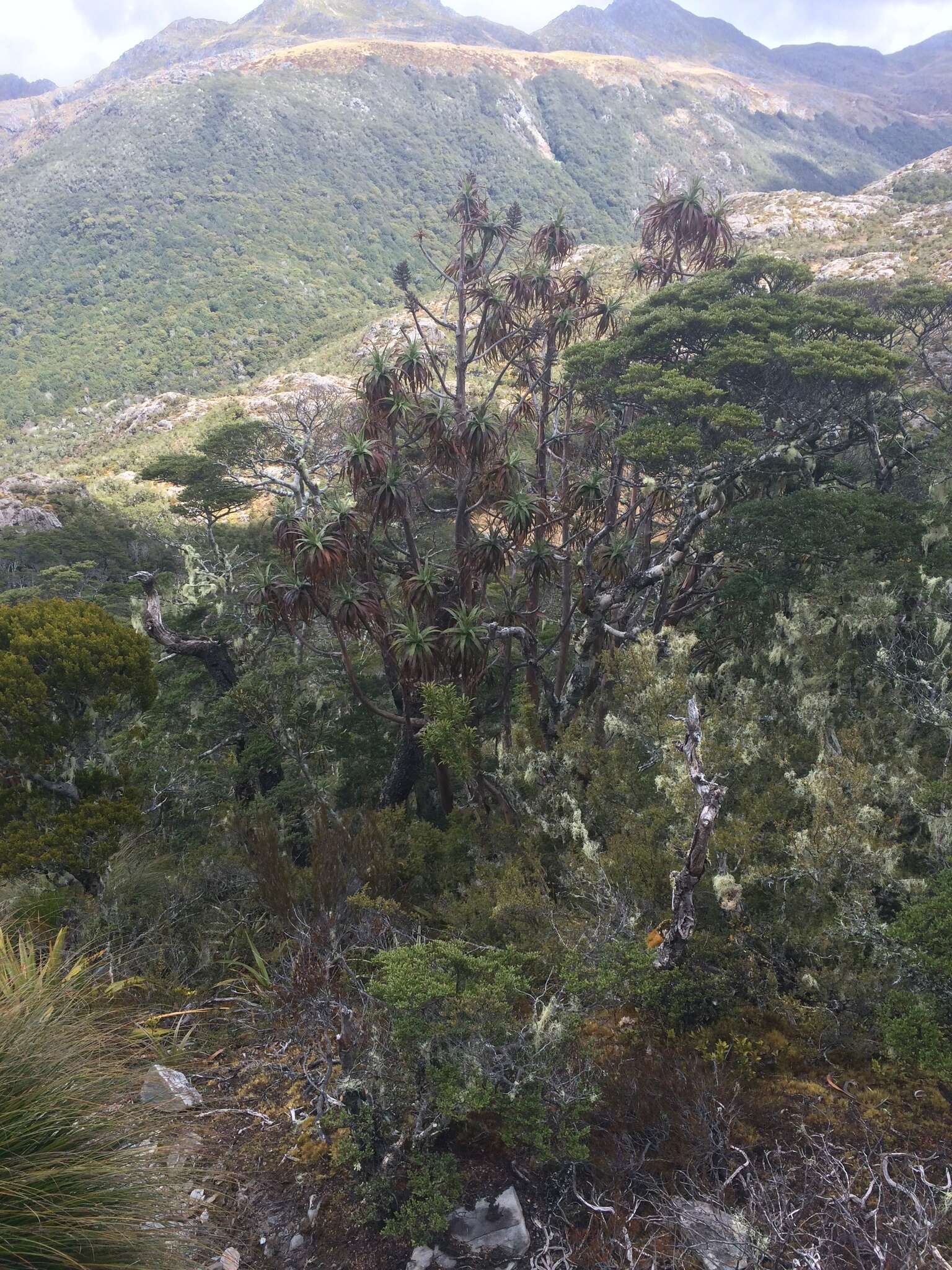 Image of mountain neinei