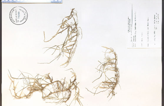 539.hims 54549 1353435790 jpg.580x360