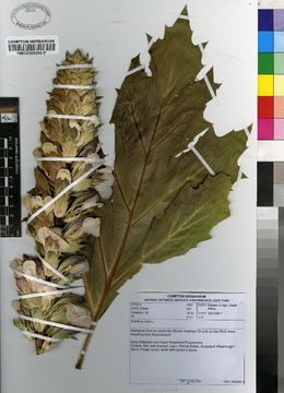 539.holin mtj 0076 1345471210 jpg.580x360