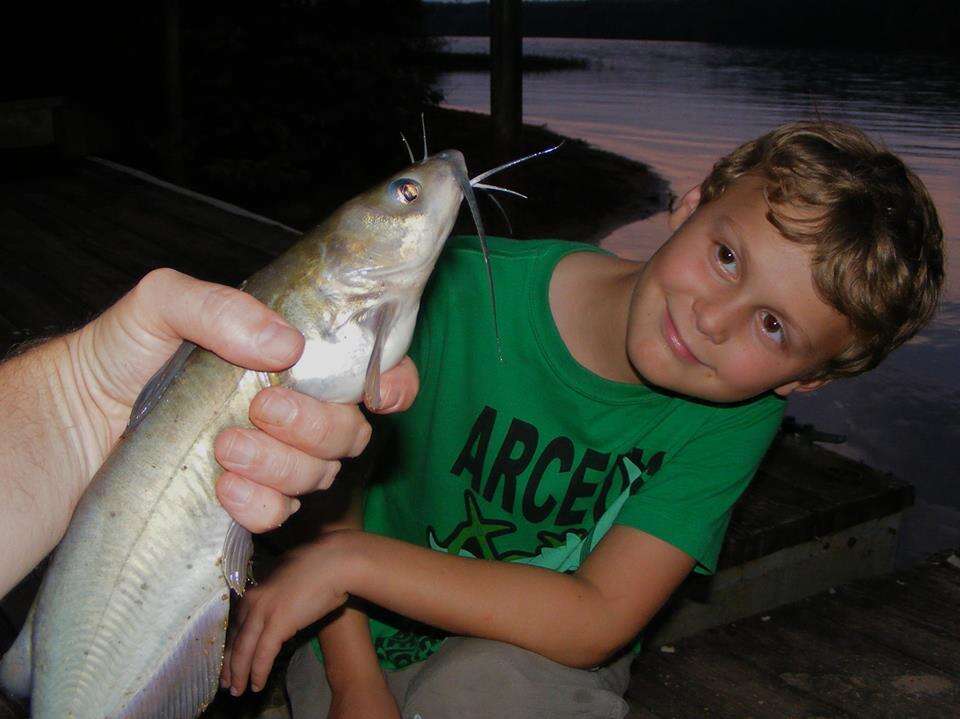 Image of channel catfish