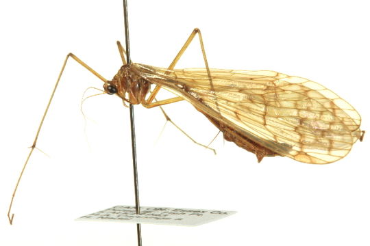 539.inrma img 0888 1345228404 jpg.580x360