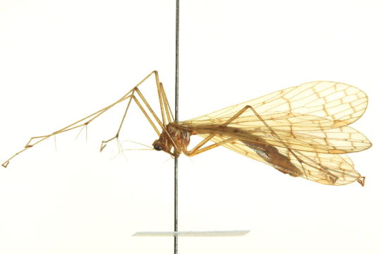 539.inrma img 0891 1345228440 jpg.580x360