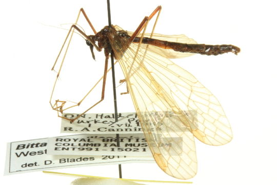 539.inrma img 0907 1345228690 jpg.580x360