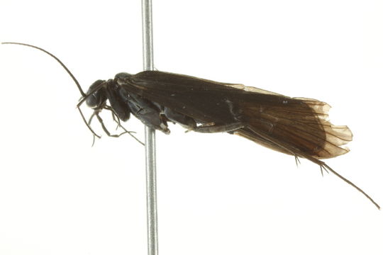 539.jsmay img 3206 1339772198 jpg.580x360