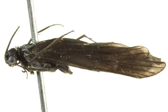 539.jsmay img 3353 1339772808 jpg.580x360