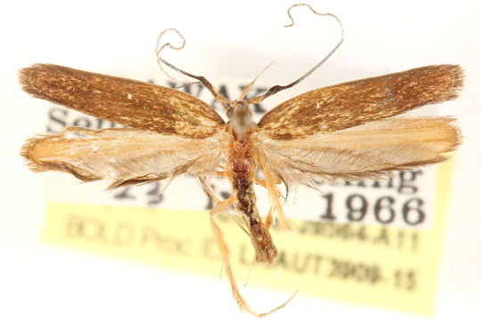 539.lnaut ccdb 28564 a11 1429101260 jpg.580x360