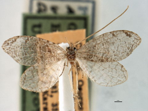 539.lnaut ccdb 22939 c03 1401198054 jpg.580x360