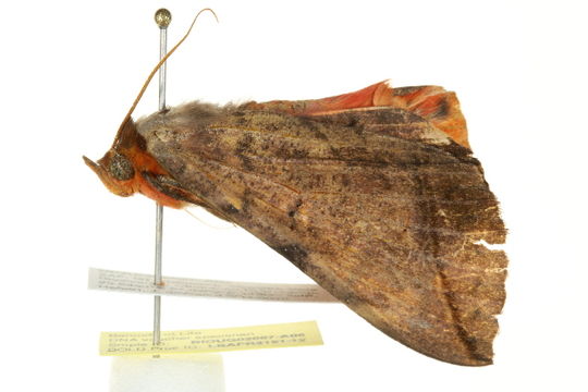 539.lsafr img 9736 1331817986 jpg.580x360