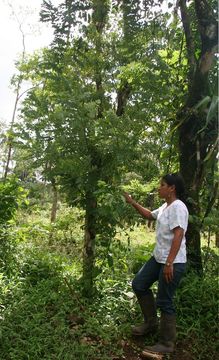 539.mhpac biobot05630 bb023650 1311876310 jpg.580x360