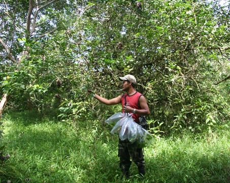 539.mhpac biobot06153 bb026536 1283373492 jpg.580x360