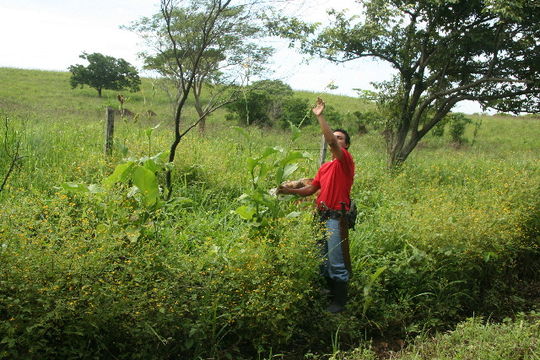 539.mhpac biobot11299 bb048193 1280417718 jpg.580x360