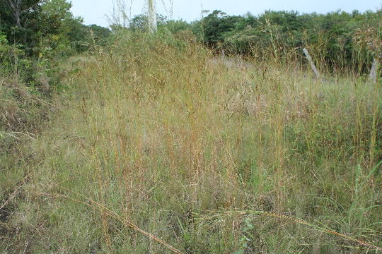 539.mhpac biobot11597 bb049946 1290618844 jpg.580x360