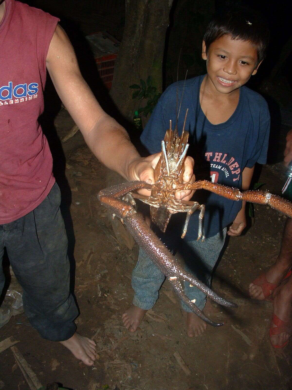 Image of bigclaw river shrimp