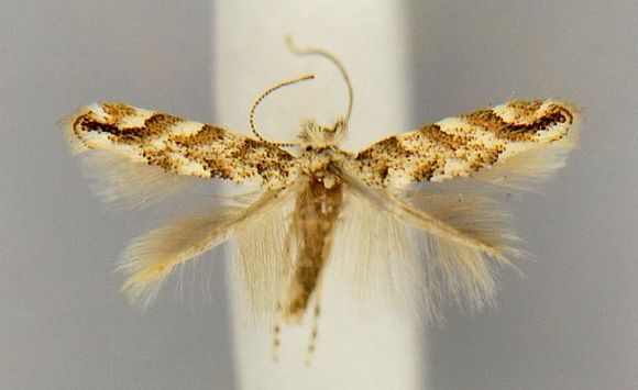 539.mpea cnclep00029578 1191349114 jpg.580x360