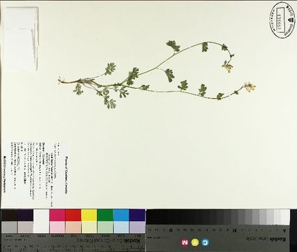 539.msth mtmg136661 1403612690 jpg.580x360