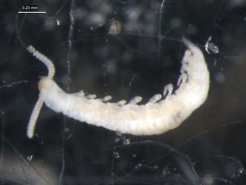 539.myrno a02 1240332012 jpg.580x360