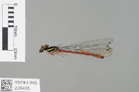 539.odobp rmnh ins 228405 1468521098 jpg.580x360